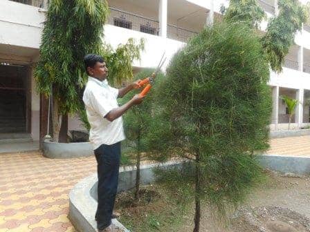 Gardening