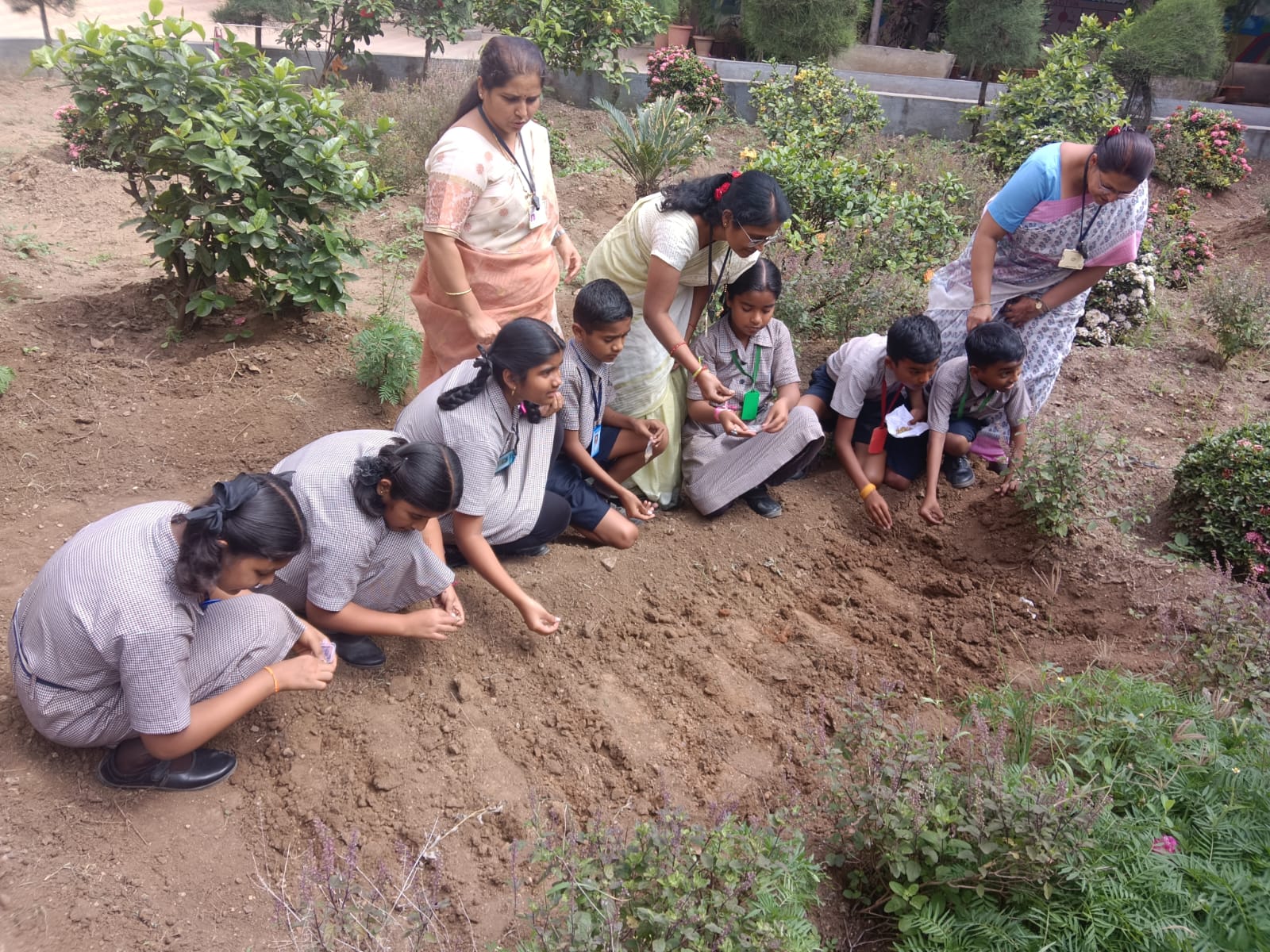 Std VI sowing of spinach seeds on 04.08.2025