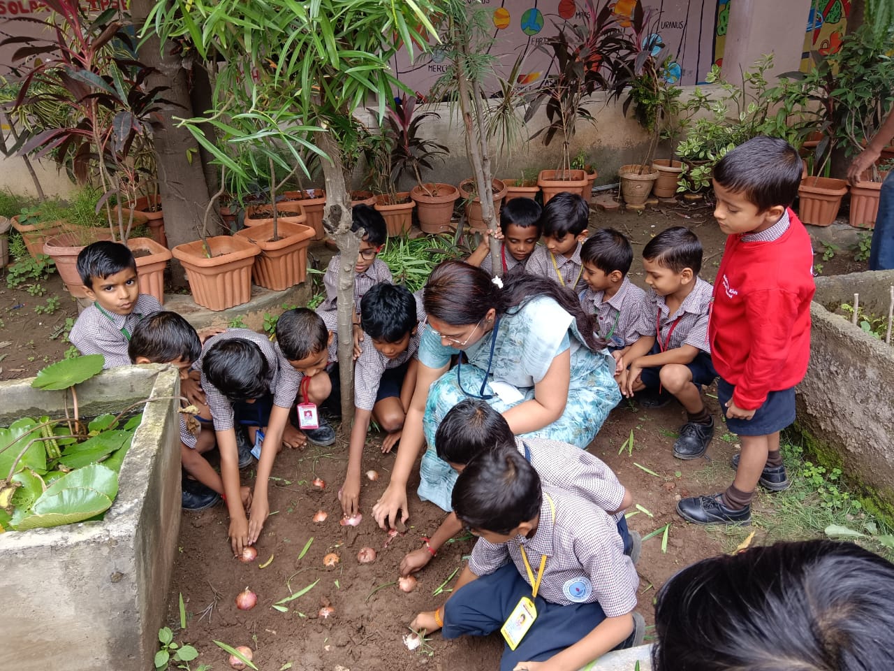 Sowing onion seeds by I std. on 20.08.25	