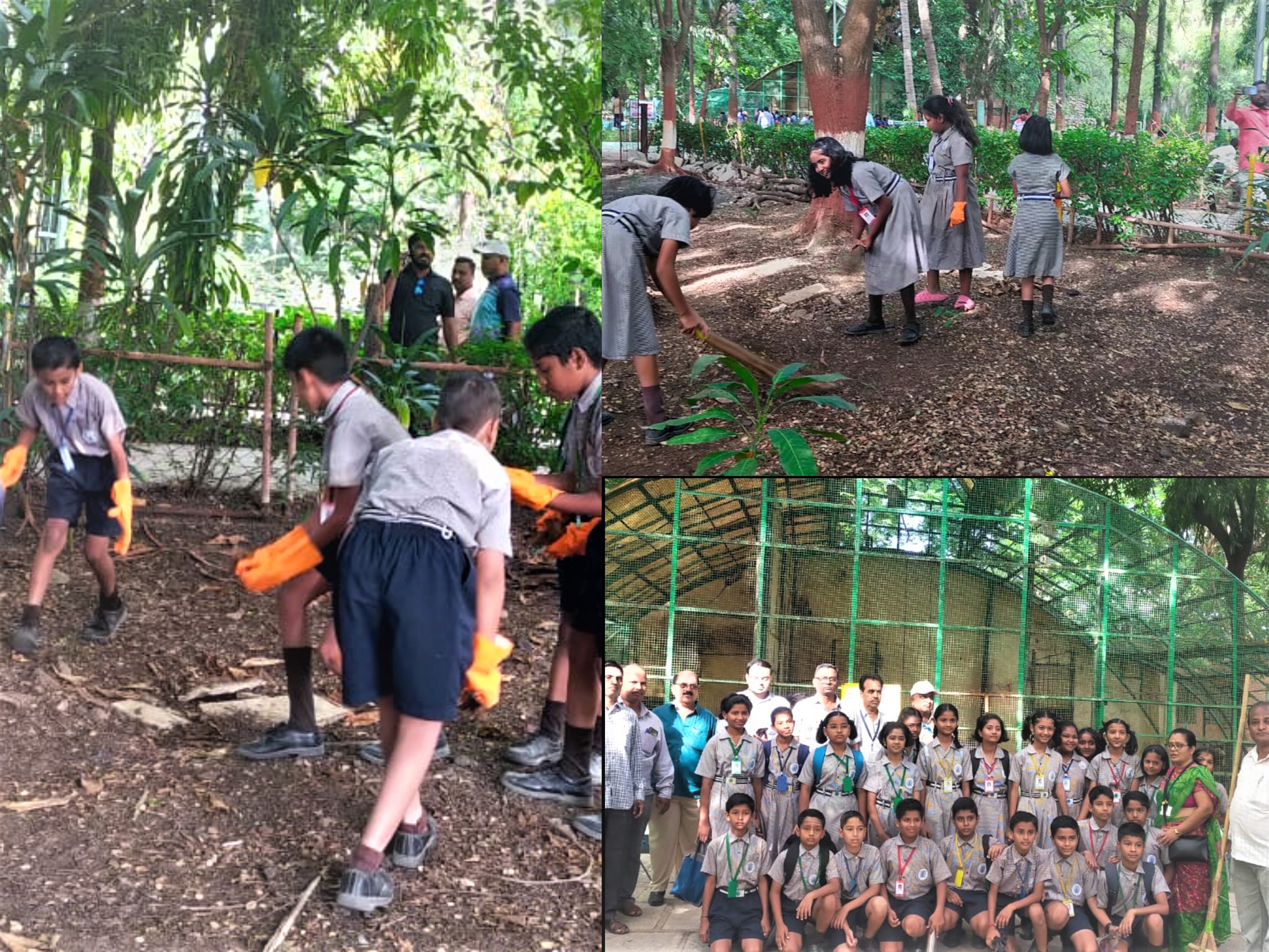 Participation by V & VI std. students in Cleanliness campaign arranged by Municipal corporation on 17.09.23